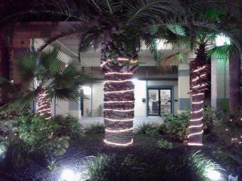 Extended - Ormond Motel 2*